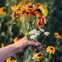 Magische Zeit - Bio-Saatgut-Adventskalender - Wilder Blütenrausch