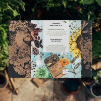 Urbanes Gartenglück - Bio-Saatgut-Vermehrungsset für alle Stadtgärtner*innen