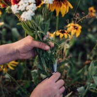 Wilder Blütenrausch - Bio-Saatgut-Vermehrungsset für alle Blumengärtner*innen