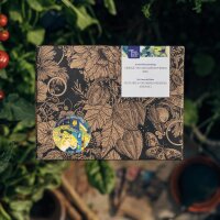 Unsere Pflanzenlieblinge: Gemüse für Stadtgärtner*innen (Bio) - Samen-Geschenkset