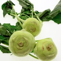 Kohlrabi Superschmelz (Brassica oleracea var. gongylodes)...