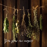 Unsere Pflanzenlieblinge: Küchenkräuter & Gewürze für Aroma-Freaks (Bio) - Samen-Geschenkset
