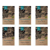 Unsere Pflanzenlieblinge: Stauden & Sommerblumen...