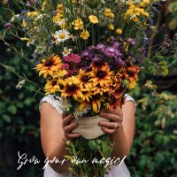 Unsere Pflanzenlieblinge: Stauden & Sommerblumen für Blumenfans (Bio) - Samenset