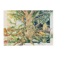 Unsere Pflanzenlieblinge: Heilpflanzen & Räucherkräuter für Heilkundige (Bio) - Samenset