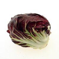 Radicchio Palla Rossa (Cichorium intybus var. foliosum)...