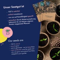 Gemüsesamen - 12 samenfeste bunte Gemüsesorten - simpel & ertragreich - Einsteiger-Saatgutset