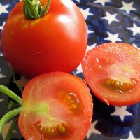 Freilandtomate Hellfrucht (Solanum lycopersicum) Samen