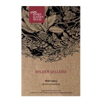Wilder Sellerie (Apium graveolens)