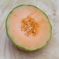 Cantaloupe Melone Charentais (Cucumis melo) Samen