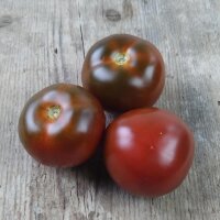 Schwarze Tomate Black Russian (Solanum lycopersicum) Samen
