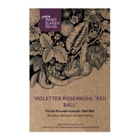 Violetter Rosenkohl Red Ball (Brassica oleracea var.gemmifera) Samen
