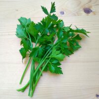 Chinesischer Sellerie Kintsai (Apium graveolens) Samen