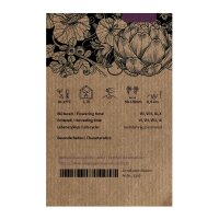 Violette Artischocke Violetto di Chioggia (Cynara scolymus) Samen