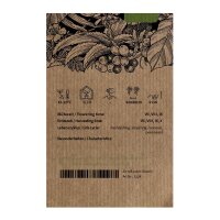 Havanna Tabak Havanna Dunkelrot (Nicotiana tabacum) Samen