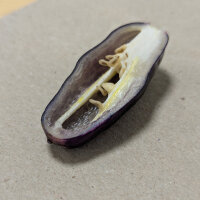 Violette Chili Pimenta Da Neyde (Capsicum chinense x annuum) Samen