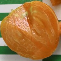 Turkmenische Fleischtomate Herz von Aschgabat / Serdtse Ashkhabada (Solanum lycopersicum) Samen