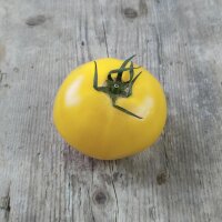 Tomate Sorbet De Citron (Solanum lycopersicum) Samen