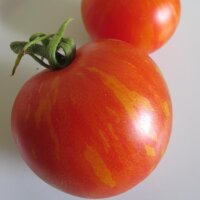 Tomate Tiger Tom (Solanum lycopersicum) Samen