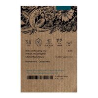 Chinesischer Tragant / Huang-Qi (Astragalus membranaceus) Samen