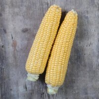 Zuckermais Golden Bantam (Zea mays) Bio Saatgut