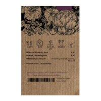 Teltower Rübchen (Brassica rapa var. teltowiensis) Samen