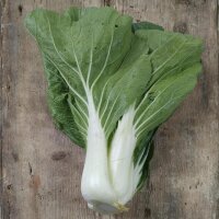 Pak Choi (Brassica rapa subsp. chinensis) Samen