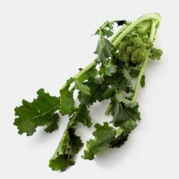 Stängelkohl / Cime di Rapa (Brassica rapa) Samen