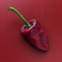 Poblano Chili Ancho San Luis (Capsicum annuum) Samen