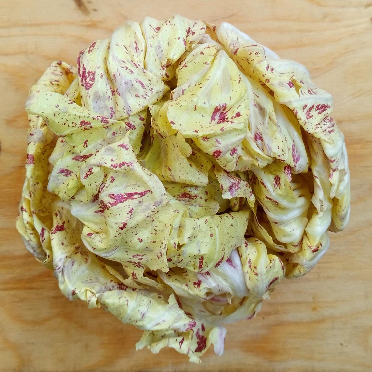 Radicchio Rosso di Treviso IGP e Variegato di Castelfranco IGP
