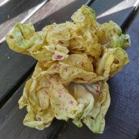 Orchideensalat / Radicchio Variegata di Castelfranco...