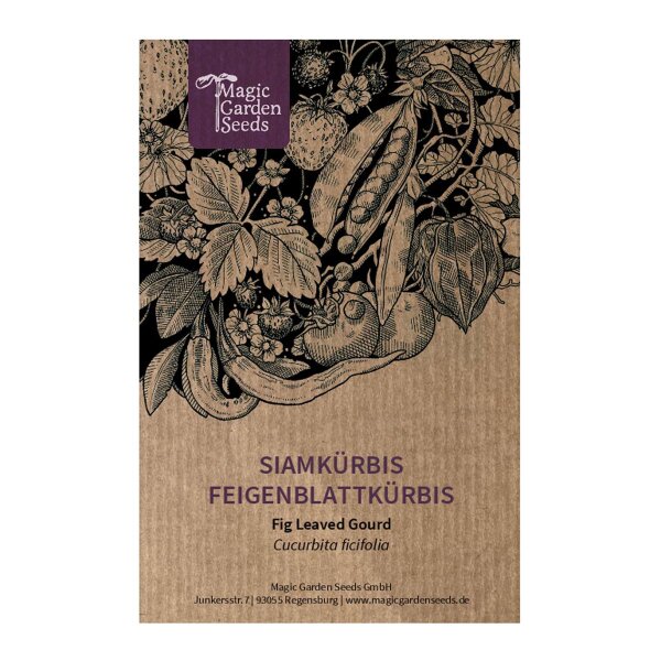 Siamkrbis / Feigenblattkrbis (Cucurbita ficifolia) Samen