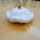 Patisson Blanc / Kürbis weiß Custard White (Cucurbita pepo) Samen