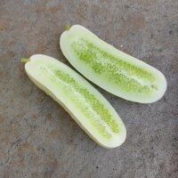 Weisse Gurke White Wonder (Cucumis sativus) Samen