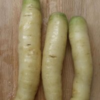Weisse Möhre Blanche a Collet Vert (Daucus carota)