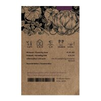 Pflücksalat Red Salad Bowl (Lactuca sativa) Samen