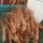 Ginseng (Panax ginseng) Samen