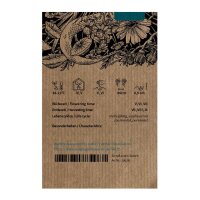 Echter Salbei (Salvia officinalis) Samen