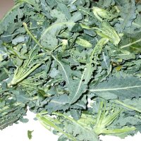 Broccolo Fiolaro (Brassica oleracea var. Italica) Bio