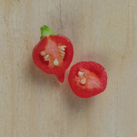 Chili Biquinho (Capsicum chinense) Samen