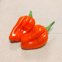 Milder Chili NuMex Suave (Capsicum chinense) Samen