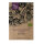 Violetter Tomatillo Purple (Physalis ixocarpa) Bio Samen
