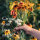 Trockenblumen - 10 samenfeste Blumensorten - unvergänglich & schön - Einsteiger-Saatgutset