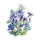 Sommerblumen in Blau (diverse Arten & Sorten) Saatgutmix