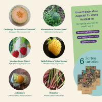 Obst-Garten: Melone, Erdbeere & Co - Samenset Nr.8