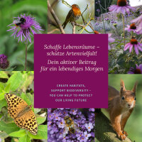 Chili Vielfalt von mild bis scharf- Samenset Nr.6