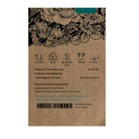 Blauviolette Duftwicke Lord Nelson (Lathyrus odoratus) Samen