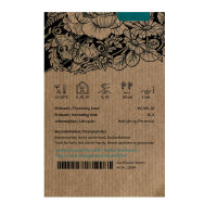 Grünblühende Zinnie Envy (Zinnia elegans) Samen