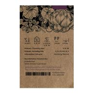 Violette Karotte Gniff (Daucus carota) Bio-Saatgut