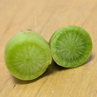 Grüner Rettich Green Luobo (Raphanus sativus) Samen